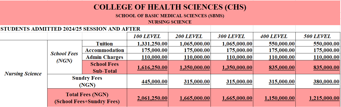 NURSING fees