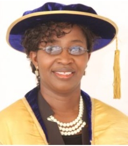 Professor Deborah Omotsefe Odejimi