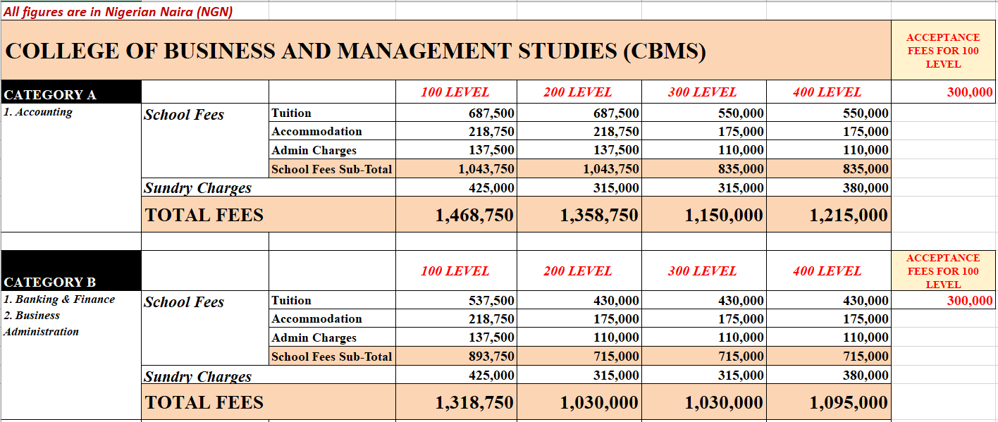 IUO Accounting fees